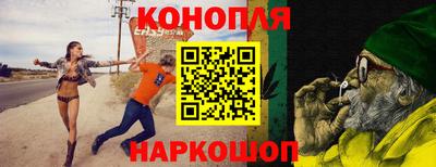 стафф Моздок