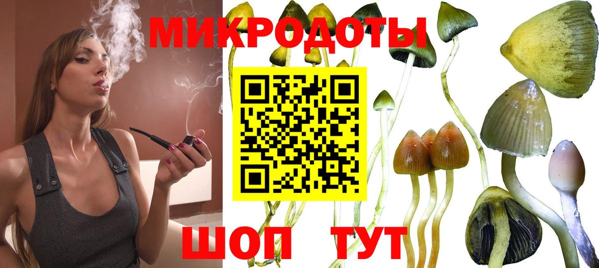 Галлюциногенные грибы ЛСД  Псилоцибиновые грибы Psilocybe  Вход с VPN  Новошахтинск 