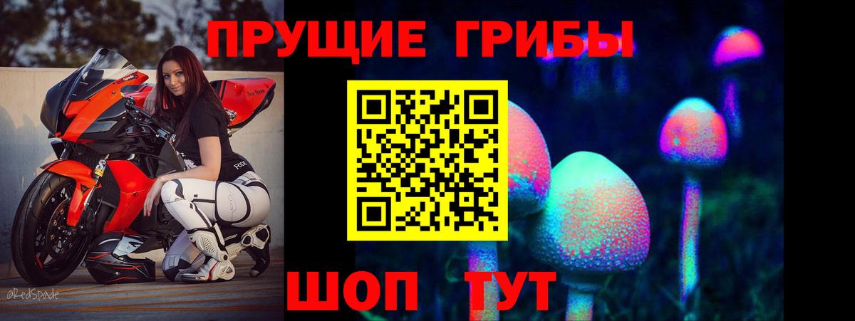 Псилоцибиновые грибы Magic Shrooms Новошахтинск